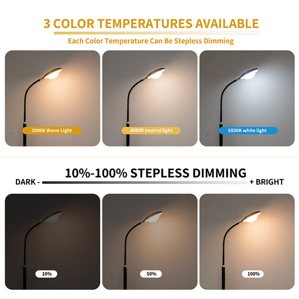Garwarm LED Black Task Floor Lamp **(Pre-Sale Restock Date: 15 Feb)