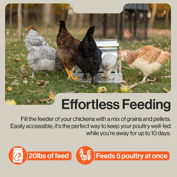 SuperHandy Chicken Feeder Automatic 20lbs (9kg) Capacity Trough Feeds 6-12 Poultry/Fowl Up to 10 Days Keeps Dry with Spill Proof Galvanized Steel Bird Prevention for Chickens, Pheasants, or Roosters GBTS016