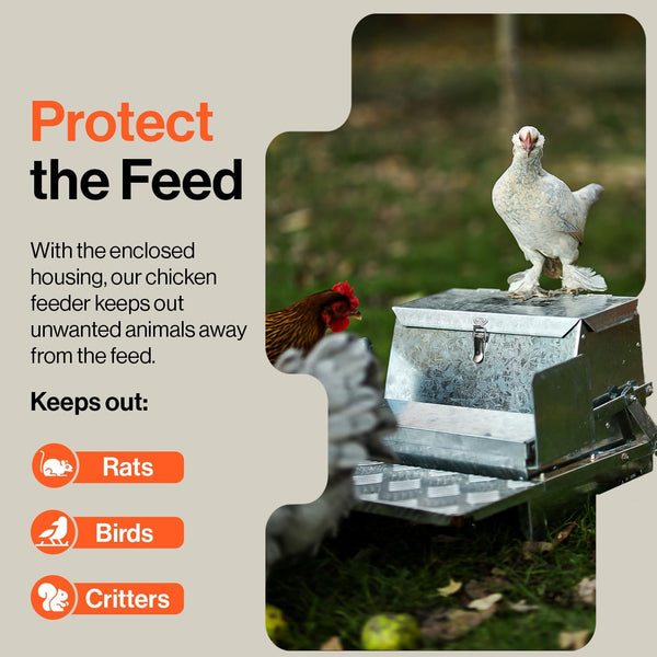 SuperHandy Chicken Feeder Automatic 20lbs (9kg) Capacity Trough Feeds 6-12 Poultry/Fowl Up to 10 Days Keeps Dry with Spill Proof Galvanized Steel Bird Prevention for Chickens, Pheasants, or Roosters GBTS016