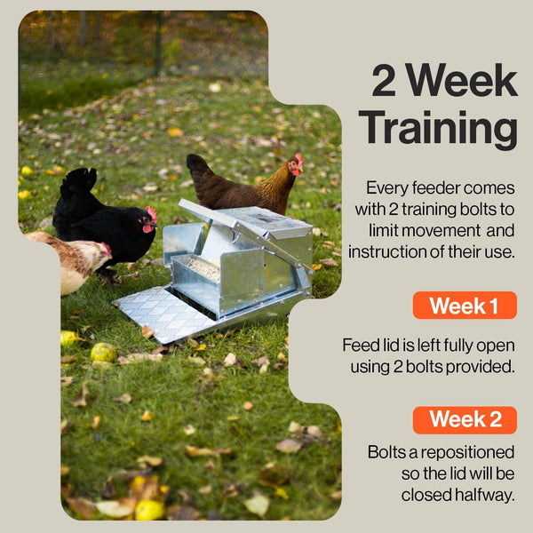 SuperHandy Chicken Feeder Automatic 20lbs (9kg) Capacity Trough Feeds 6-12 Poultry/Fowl Up to 10 Days Keeps Dry with Spill Proof Galvanized Steel Bird Prevention for Chickens, Pheasants, or Roosters GBTS016